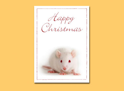 Christmas Message Cards