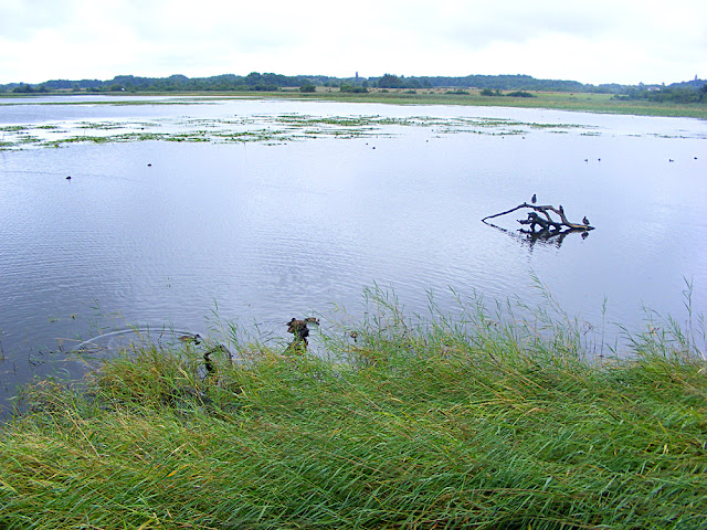 Etang Purais, Indre, France. Photo by Loire Valley Time Travel.