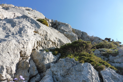 Zona de escalada