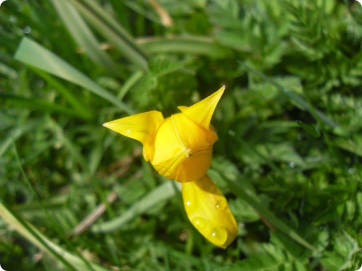 Bornholm - april 2015