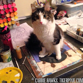 Anakin The Two Legged Cat Tigerpixie Art Studio