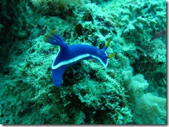 IMG_2187 IMG_2187