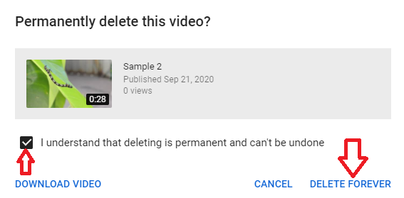 Confirm to delete video