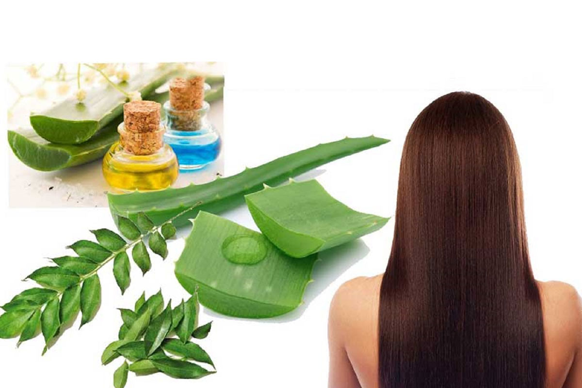 The Best Herbal Hair Treatment
