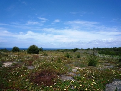 P1010546