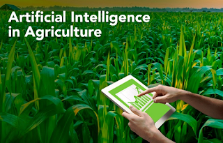 Applied AI in Agriculture Market