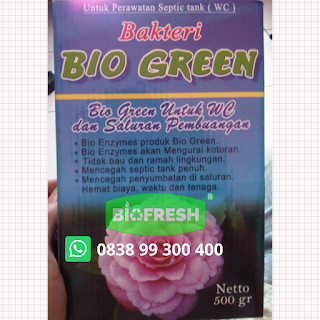 Bio Green Bubuk Bakteri