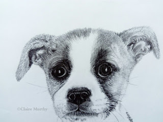 detailed graphite pet portrait dog