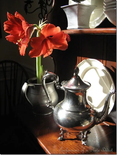 IMG_4453 IMG_4453