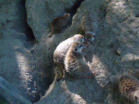 Zoos in Brandenburg Zoo Eberswalde