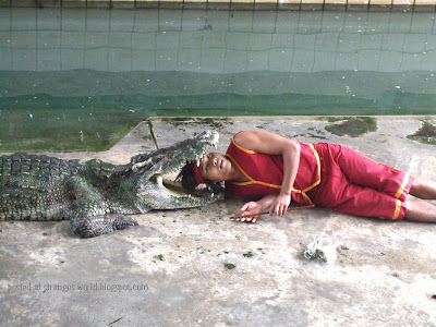 crocodile Crocodile wrestlers