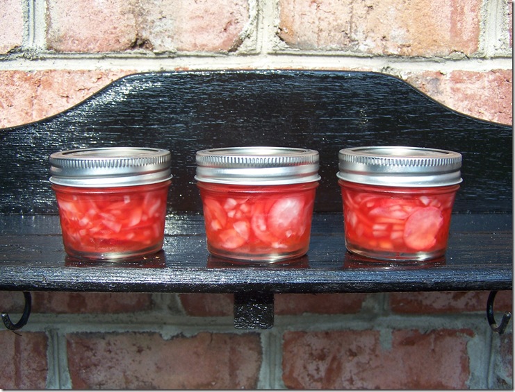 Pickled Radishes 026