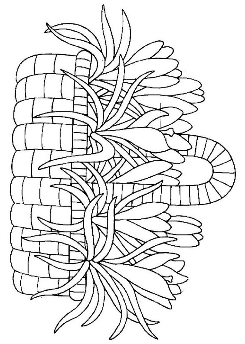 primavera_27