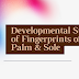 Developmental Stages of Fingerprints on Palm & Sole