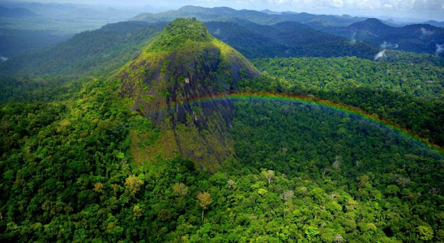 Vista do parque Nacional Montanhas do Tumucumaque, no Amapá. (Foto: Acervo ICMBIO)