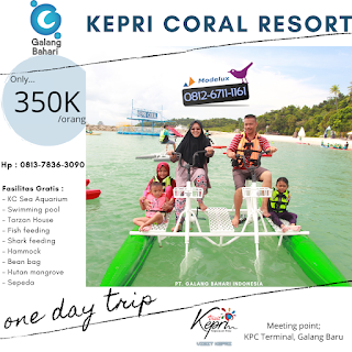 Pengalaman ke Kepri Coral Resort dengan Wisata Galang Bahari Tour Travel 0812-6711-1161