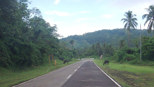 highway going to Lope De Vega Northern Samar