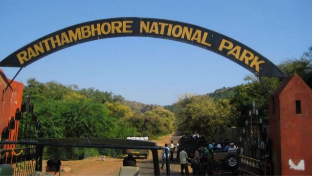 Ranthambhore Safari Booking