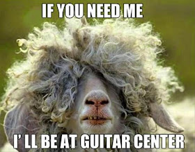 30 Funny animal captions - part 21 (30 pics), captioned animal pictures, emo sheep