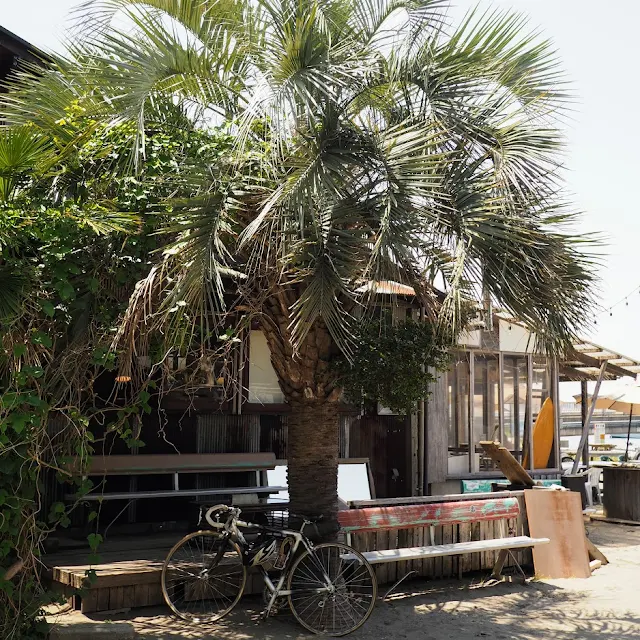 走水海岸　かねよ食堂