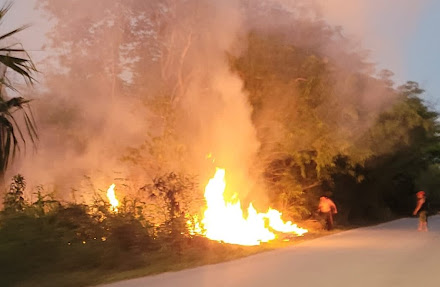 Fuego provoca movilización de personal de rescate y bomberos de Felipe Carrillo Puerto