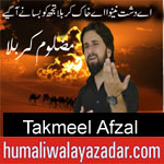 https://www.humaliwalyazadar.com/2018/09/takmeel-afzal-nohay-2019.html