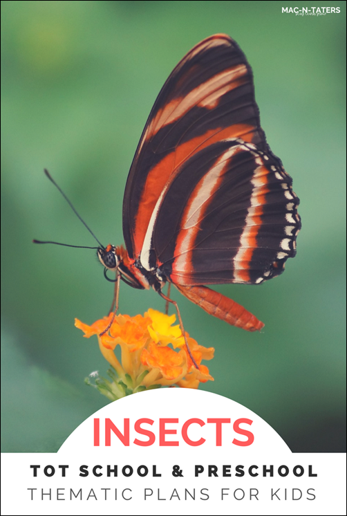 Insect Theme Tot School & Preschool Plans