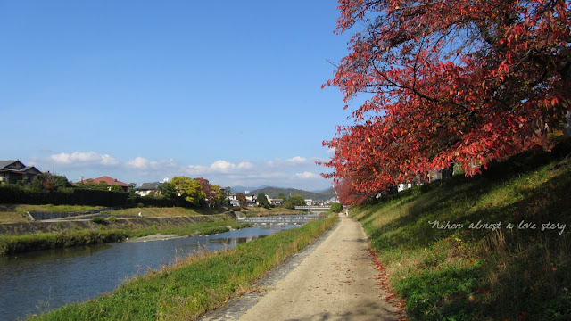 Fall Kamogawa