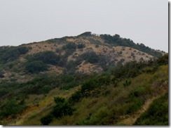 IMG_3649 (1280x952)