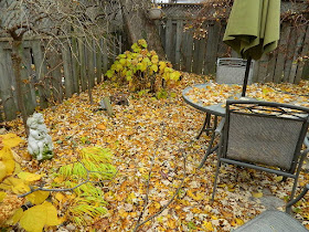 Monarch Park Toronto Fall Cleanup Before by Paul Jung Gardening Services--a Toronto Gardening Services Company