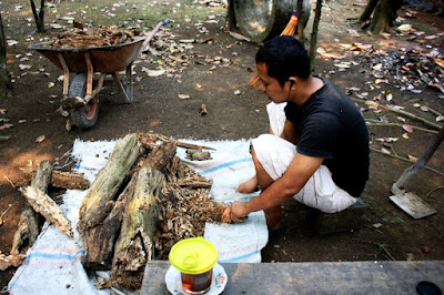 Cara Membuat Kayu Lapuk Menjadi Pupuk Organik