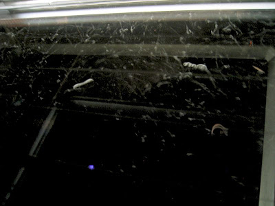 Image of a cloud chamber, in the public domain from wikipedia, permission to use granted by a GNU Free Documentation License and a Creative Commons Attribution ShareAlike 3.0 Unported License.