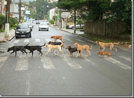 Beatles forever