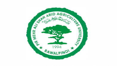 Jobs in Pir Mehr Ali Shah Arid Agriculture University UAAR