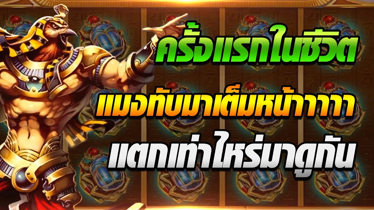 w88 ภาษา ไทย