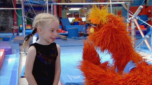Sesame Street Episode 4522. Murray Has a Little Lamb. Murray and Ovejita visit a gymnastics school.