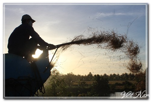 Một thoáng Bến Tre