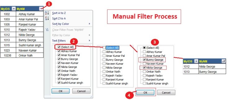 Manual Filter in Excel