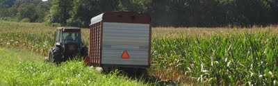 tractor chopping corn wagon