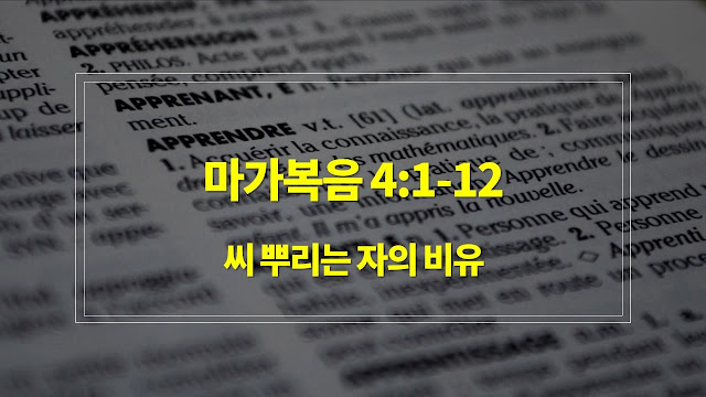 마가복음 4장 1절-12절, 씨 뿌리는 자의 비유 - 매일성경 큐티 새벽설교요약