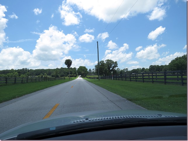 driveIMG_7059