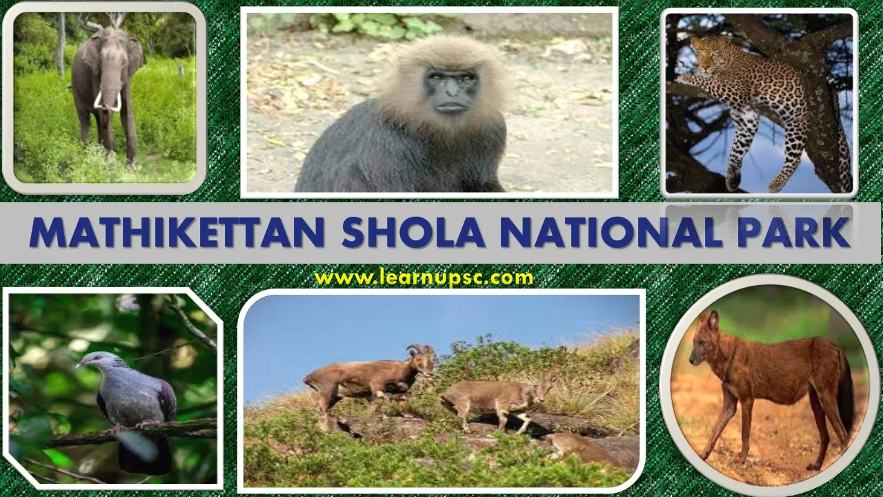 Mathikettan Shola National Park