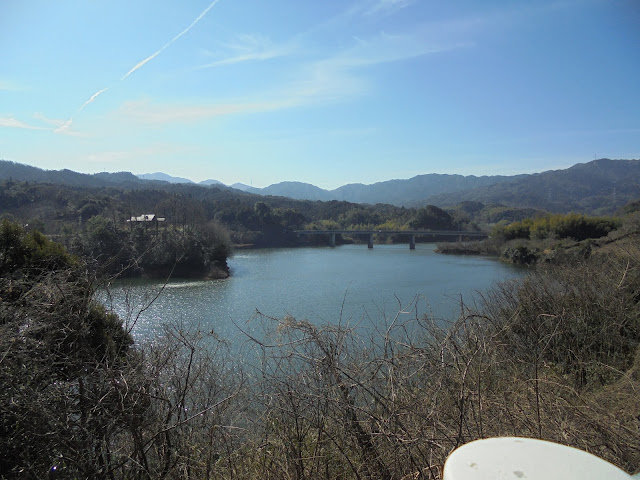 緑水湖の風景