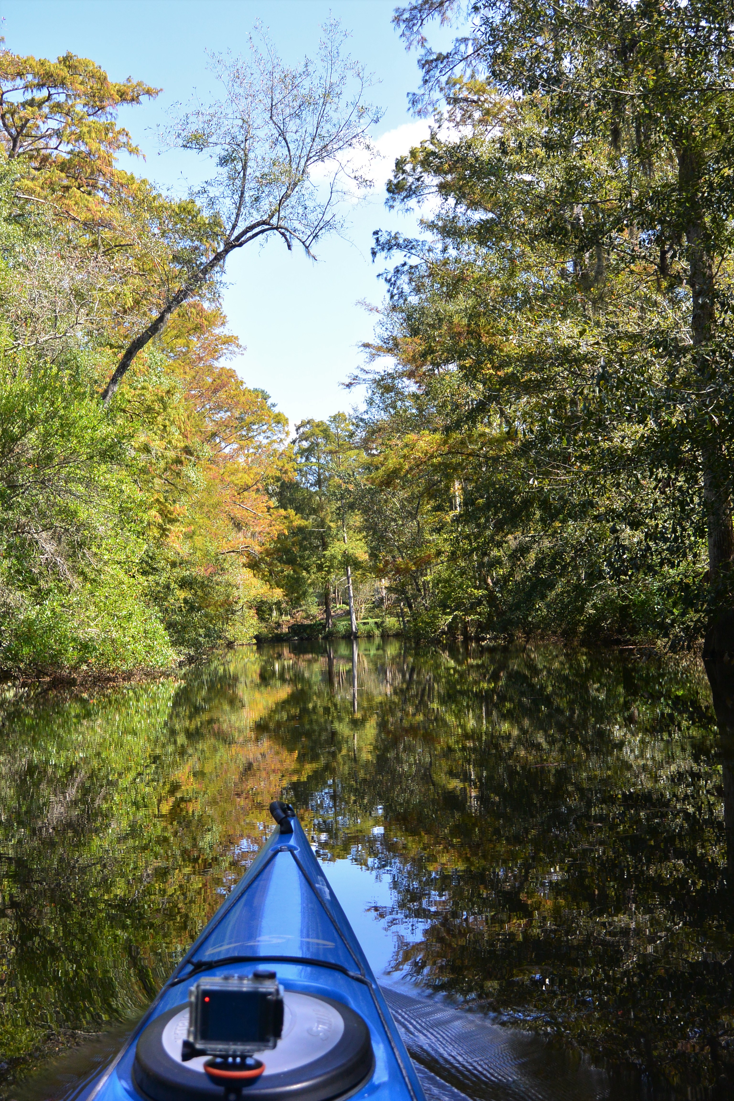 paddle bayou lacombe