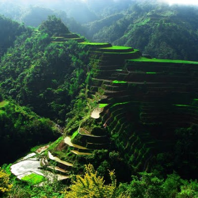 Banaue Rice Terraces