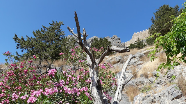 Rhodos - Lindos Spaziergang