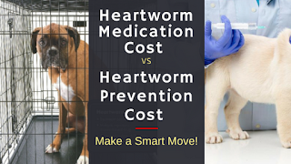 Heartworm Medication 