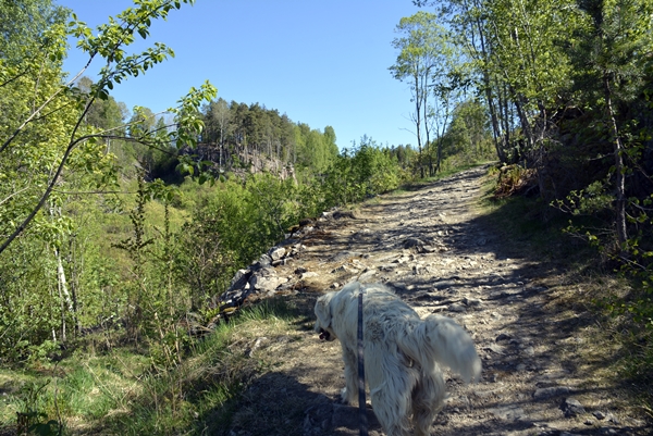 Molybdengruvene Sørumåsen