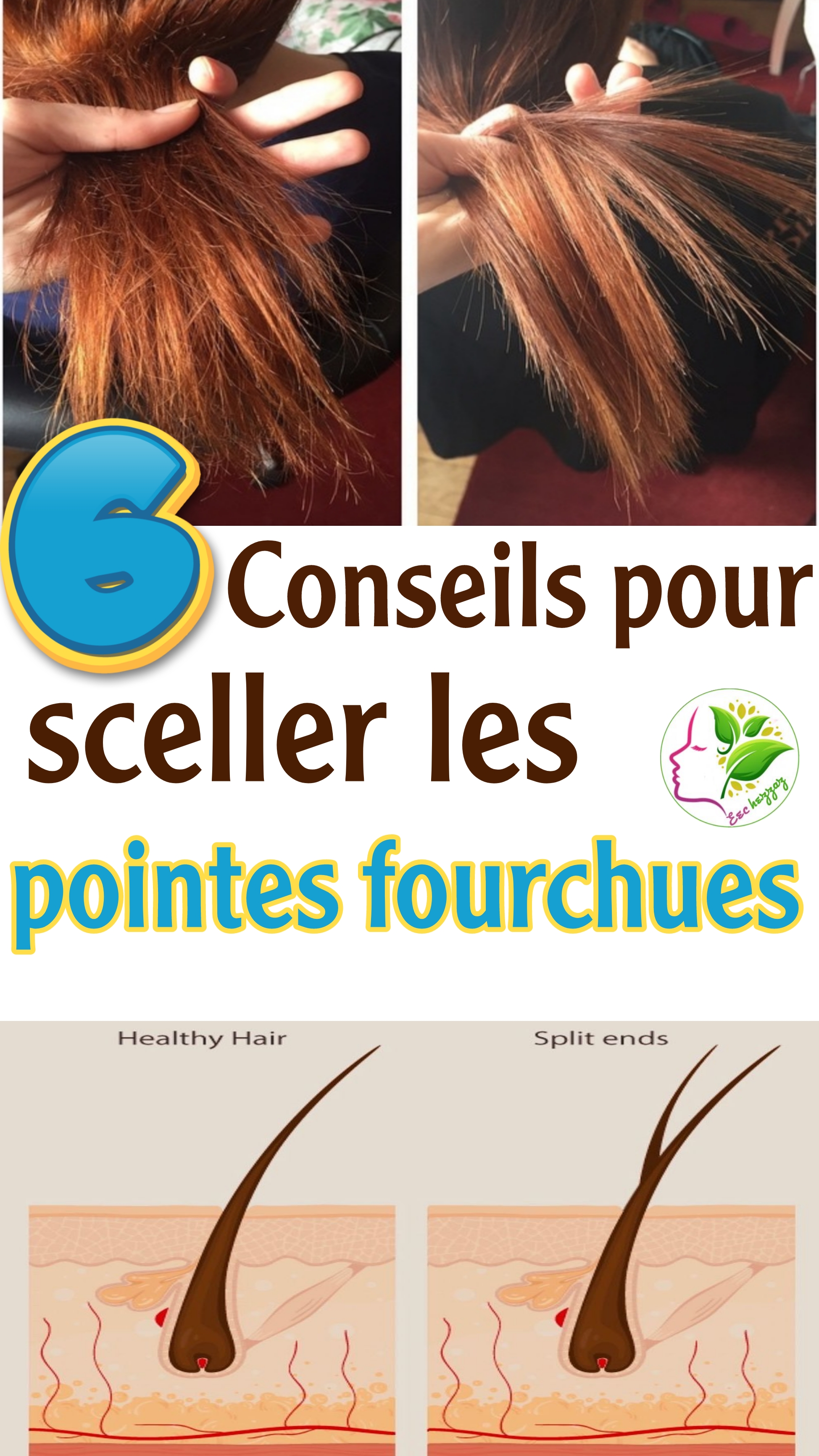 sceller les pointes fourchues naturellement