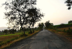 rural road through farmlands